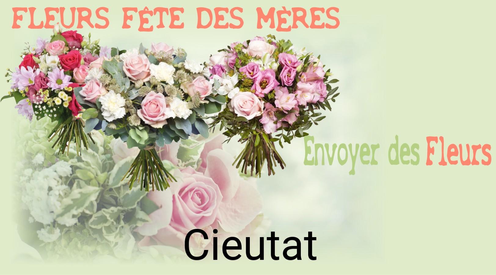 Bouquet de Fête des Mères livré à Cieutat